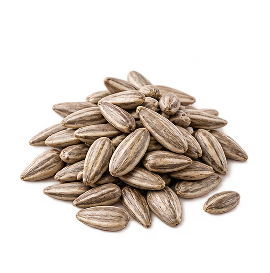 Sunflower Seed